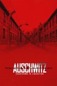 Poster do filme Auschwitz: Countdown To Liberation