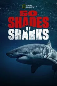 50 Shades of Sharks movie poster