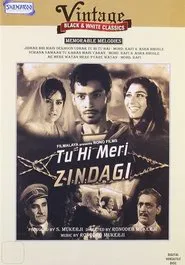 Tu Hi Meri Zindagi movie poster