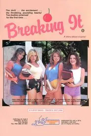 Breaking It movie poster