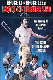 Poster do filme Fists Of Bruce Lee