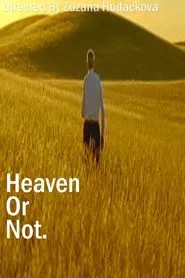 Heaven Or Not movie poster