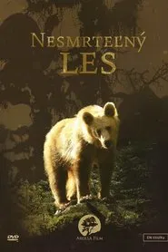 Secrets of the Carpathians: The Immortal Forest movie poster