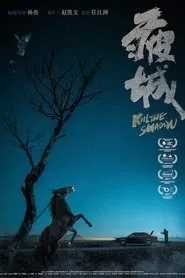 Kill the Shadow movie poster