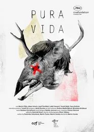 Pura Vida movie poster
