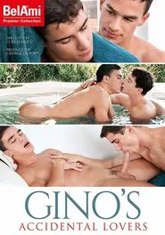Gino's Accidental Lovers movie poster