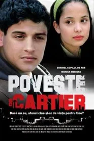 District Story movie poster