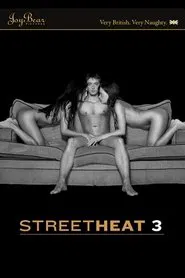 Street Heat 3 movie poster