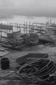 Transform Sweden movie poster