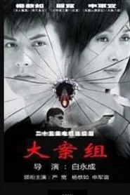 大案组 tv show poster