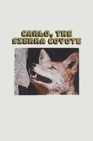 Carlo the Sierra Coyote movie poster
