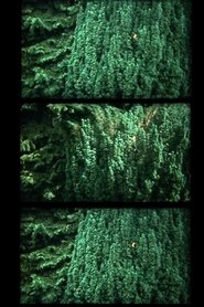 nur baum movie poster