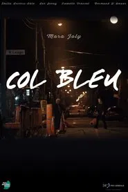 Col bleu tv show poster