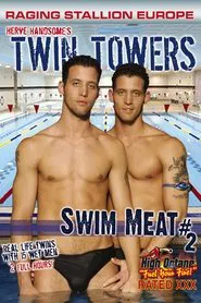 Swim Meat 2: Twin Towers movie poster