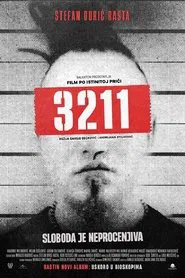 3211 movie poster