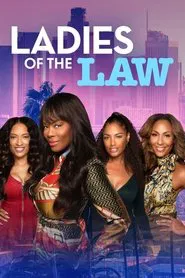 Ladies of the Law tv show poster