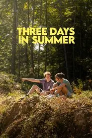 Three Days in Summer movie poster