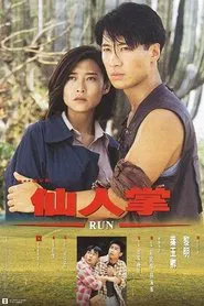 Poster do filme Run