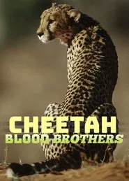 Poster do filme Cheetah Blood Brothers