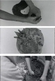 throwtheground movie poster