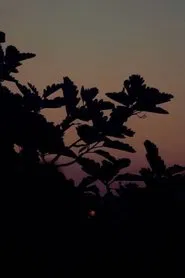 Sunset(for Eli) movie poster