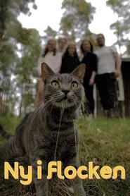 New to the Pack tv show poster