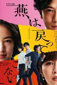 The Swallows Don't Come Back tv show poster