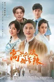 高兴的酸甜苦辣 tv show poster