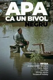 Poster do filme Water Like a Black Buffalo