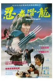 Ninjas and Dragons movie poster