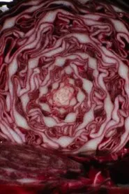Cabbage movie poster