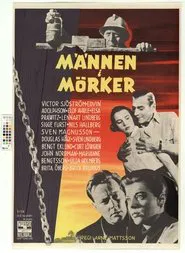 Männen i mörker movie poster