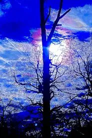 When Birds only Chirp on Screen movie poster