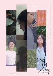 My Distant Family movie poster