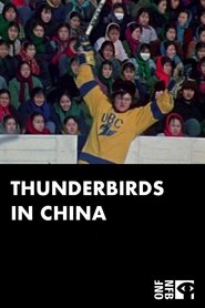 Thunderbirds in China movie poster