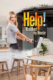 Help! I Wrecked My House tv show poster