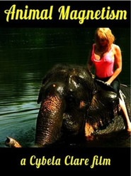 Poster do filme Animal Magnetism