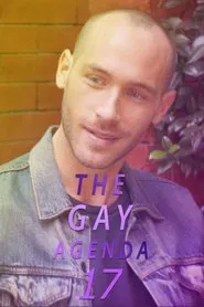 The Gay Agenda 17 movie poster
