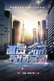 Shanghai Police Real Stories tv show poster