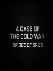 A Case of the Cold War: Bridge of Spies movie poster