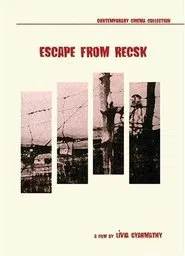 Poster do filme Escape