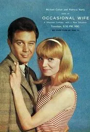 Occasional Wife tv show poster