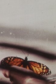 The Butterfly movie poster