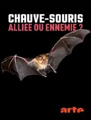 Chauve-souris: alliée ou ennemie? movie poster