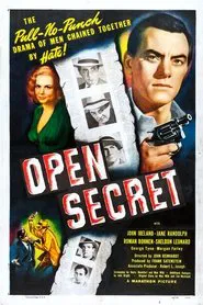 Open Secret movie poster