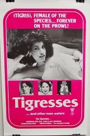 Poster do filme Tigresses