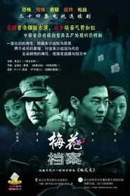 Poster da série 梅花档案