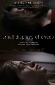 Small Displays of Chaos movie poster