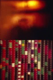 Sharits/Kassel 2015 movie poster