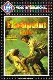 Poster do filme Flashpoint Africa